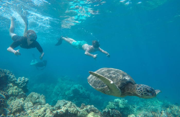 moondance in maui on snorkeling for teens trip