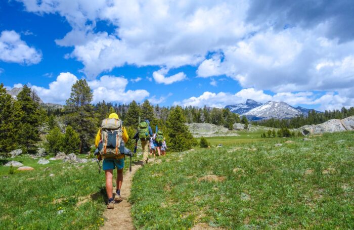 Big Wild - Backpacking